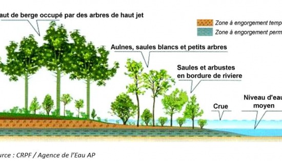 475951610_122138129768559166_6505358021885829819_n - Branche Éclat